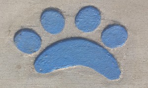 cropped-paw-print.jpg