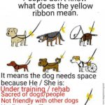 The yellow ribbon means to give the dog some space.